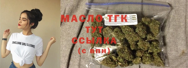 стаф Богородск