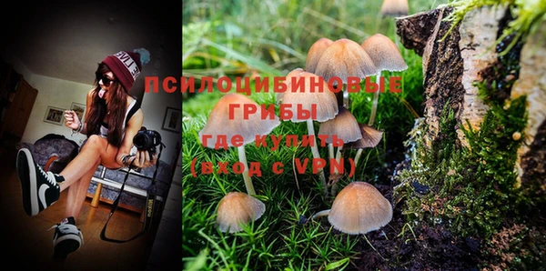 дживик Богданович