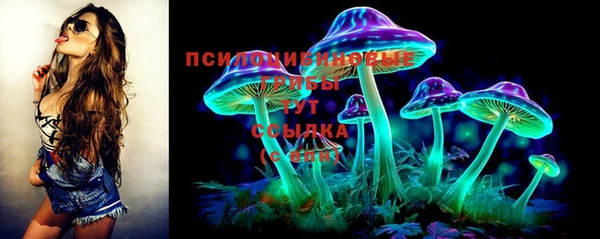 соль ск Белоозёрский